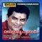 Veena Paadum - K.S. Chithra lyrics