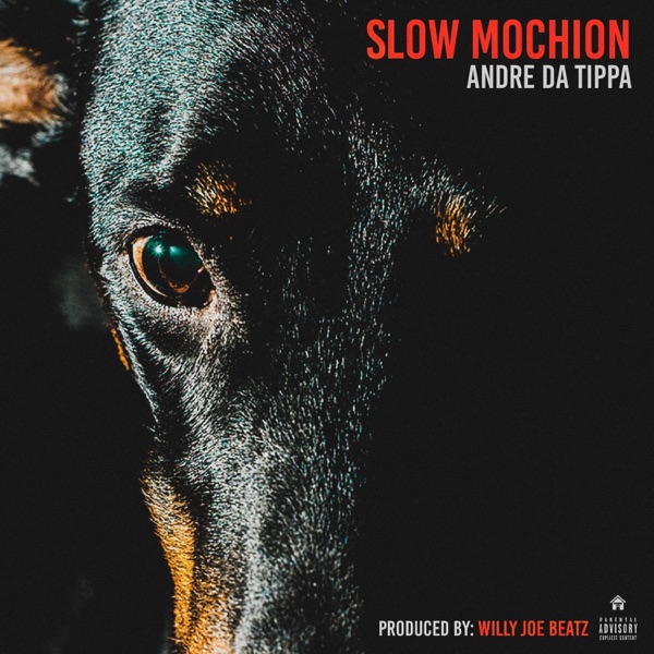 Slow Mochion