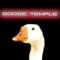 The Worm/ Lil' Dicky's Revenge - Goose'temple lyrics