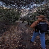 Return To Nature - Single - Zour D