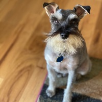 Monkey Butt (feat. Monkey) - Single - Matthew Mailman