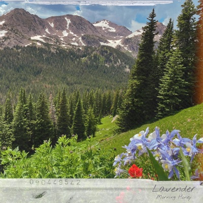 Lavender (feat. Monsoon, The Moon & Hanna Hansen) - Single