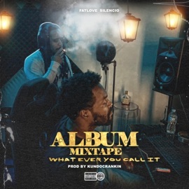 Anybody (feat. Migo Lee) FatLove Silencio