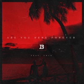 Are You Here Forever (feat. Cole) Ivan B