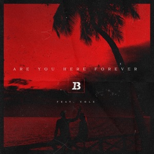 Are You Here Forever (feat. Cole) - Single