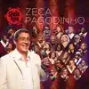Sombrinha, Roberta Sá, Dudu Nobre, Mumuzinho, Lenine, Arlindo Cruz, Maria Rita, Péricles, Almir Guineto, Beth Carvalho, Marcelo D2, Alcione, Diogo Nogueira, Frejat, Jorge Ben Jor, Nilze Carvalho, Emicida, Gabrielzinho do Irajá, Mariene de Castro, Monarco, Velha Guarda Da Portela, Rildo Hora, Martinho da Vila & Zeca Pagodinho - Camarão Que Dorme a Onda Leva (feat. Gilberto Gil & Djavan)