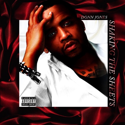 Shaking the Sheets - EP