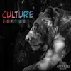 Stream & download Culture - Single