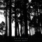 Little Wolf - Phil King lyrics