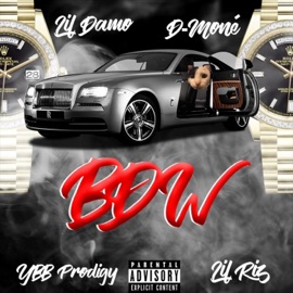 Bust Down Wrist (feat. Ybb Prodigy, Lil Damo & D - Mone) Lil Riz