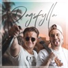 Dagsfylla - Single