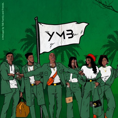 YMB, Vol. 1: Introducing.