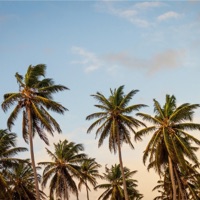 Holding On - Single - Meyo