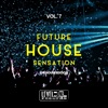 Future House Sensation, Vol. 7 (The House Edition)