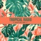 Tropical Radio - Sebastien Marc lyrics