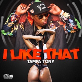 I Like That (Radio Mix) Tampa Tony