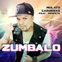 Zumbalo - Single - Mulato Cardenas