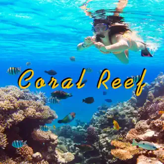 Coral Reef - Single by Eduard Barchuk album reviews, ratings, credits