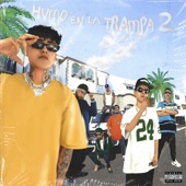 Tumbados en la Trampa (feat. Dan Sanchez, Fntxy, Phull King Fu, Alan Blaze & Cozy Cuz) artwork