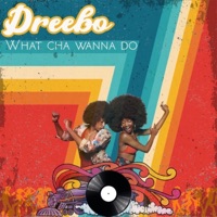 What Cha Wanna Do - Single - Dreebo