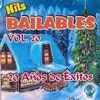 Hits Bailables, Vol. 20: 20 Años de Éxitos
