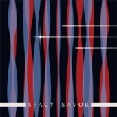 SPACY SAVOR artwork