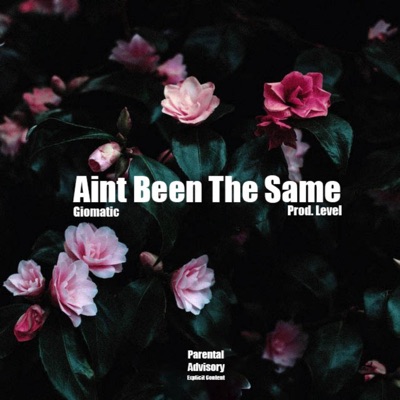 Ain't Been the Same - Single