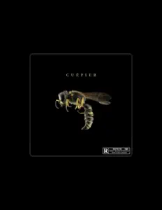 聆聽 Dod、觀看音樂影片、閱讀小傳、查看巡演日期等！