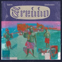 Freddo (feat. Koflah) - Single - Ranabis, Masaaki & SinCensura