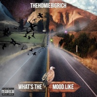 What's the Mood Like - TheHomieBigRich