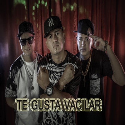 Te Gusta Vacilar (feat. Yepeto Junior el Clasico) - Single