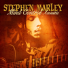 Mind Control Acoustic - Stephen Marley