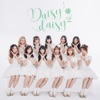 Daisy Daisy - Single