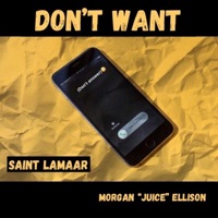 Don't Want (feat. Morgan 