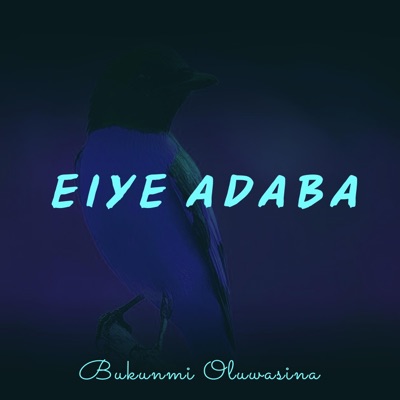 Eiye Adaba - Single