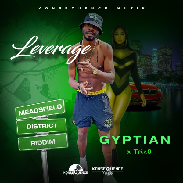 Leverage - Single