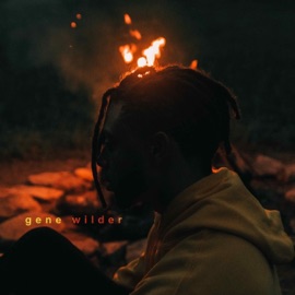 Gene Wilder Scott Summers