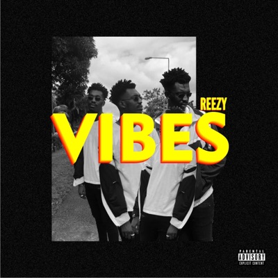 Vibes - Single