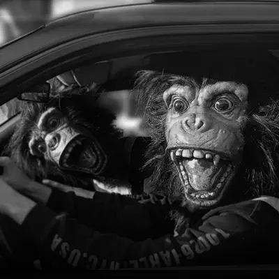 Listen to Total Ape, watch music videos, read bio, see tour dates & more!