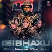 Isibhaxu (feat. Mampintsha, Babes Wodumo & Pex Africah) artwork