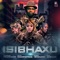Isibhaxu (feat. Mampintsha, Babes Wodumo & Pex Africah) artwork