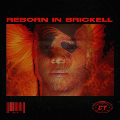 Reborn in Brickell