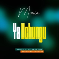Ya Uchungu - Single - Marioo