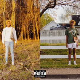 Bag/Purse (feat. Mike Floss) $avvy