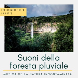 Suoni della foresta pluviale - Musica della natura incontaminata per dormire tutta la notte