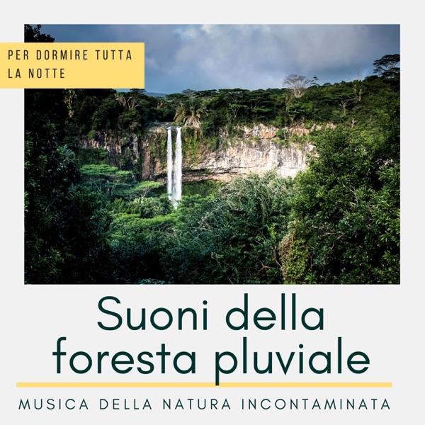 Suoni della foresta pluviale - Musica della natura incontaminata per dormire tutta la notte