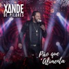 Xande de Pilares - Pão Que Alimenta
