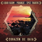 Corazón de Gaia (Forever & Ever Remix) artwork