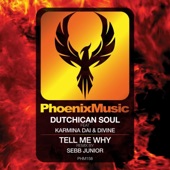 Tell Me Why (Sebb Junior Remix) artwork