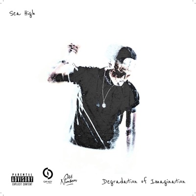 Degradation of Imagination